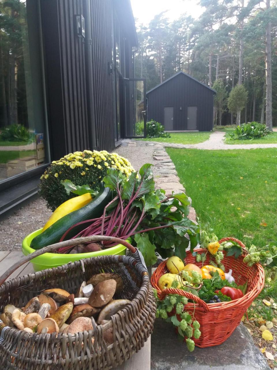 Hõbekala Guesthouse Kalana Exterior foto